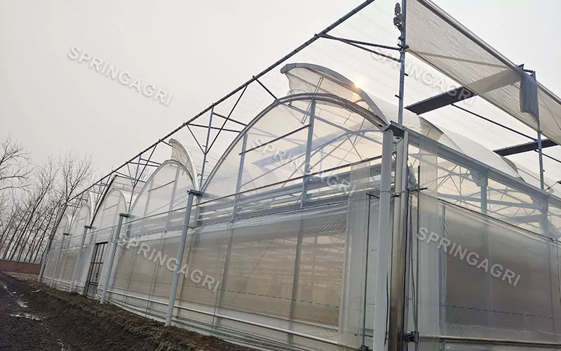 150 Micros PO Clear Film İstixana