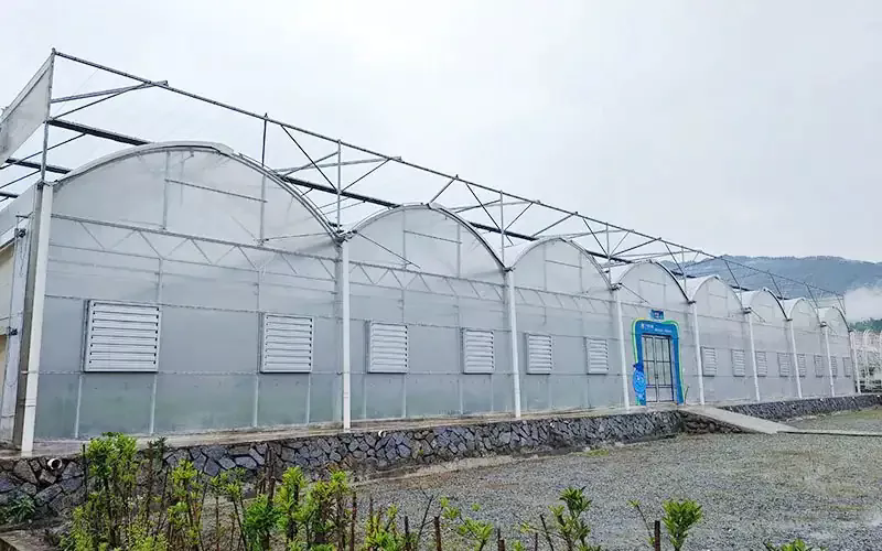 Multispan plastik film istixanasının xüsusiyyətləri nələrdir?
