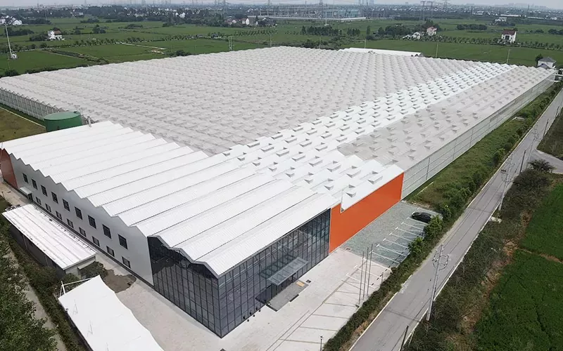 Multispan şüşəli istixananın üstünlükləri