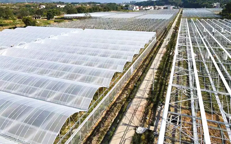 İstehsalını artırmaq və yüksək temperatur problemini həll etmək üçün silsilə - havalandırılan plastik istixana
